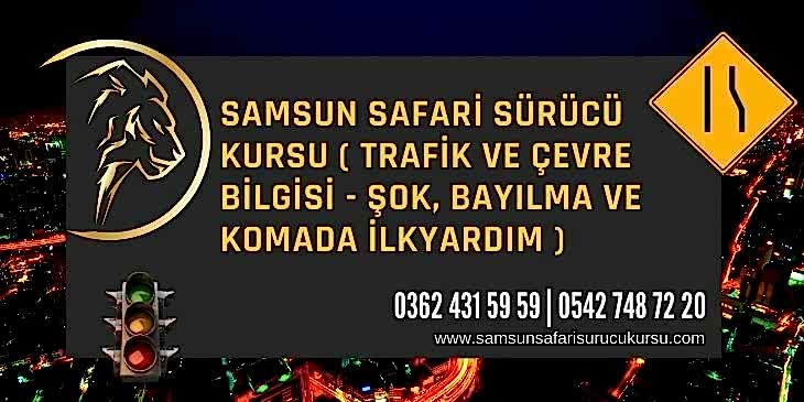 Şok, Bayılma ve Komada İlkyardım Ders Videosu