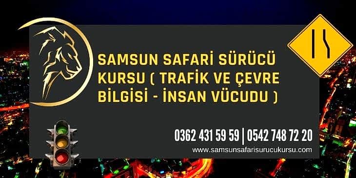 İnsan Vücudu Ders Videosu