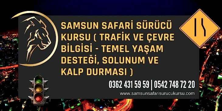 Temel Yaşam Desteği, Solunum ve Kalp Durması Ders Videosu